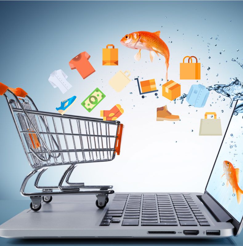 Expressiva realizza l'e-commerce professionale per i tuoi prodotti